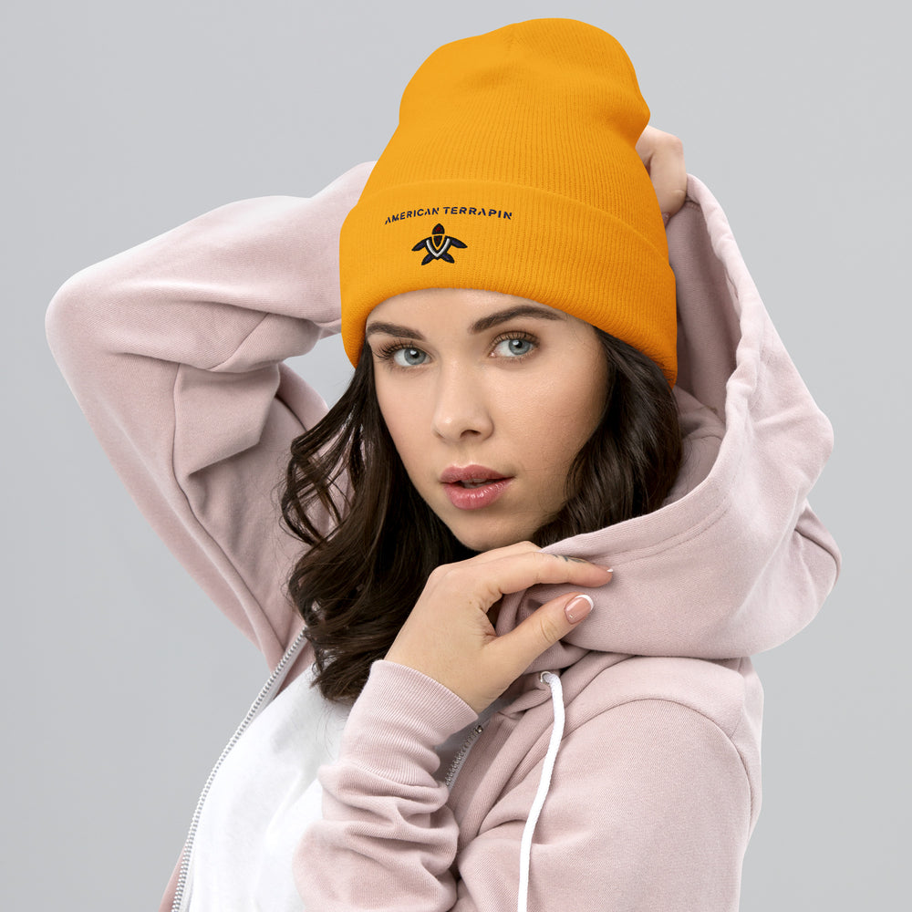 American Cuffed Beanie Classic