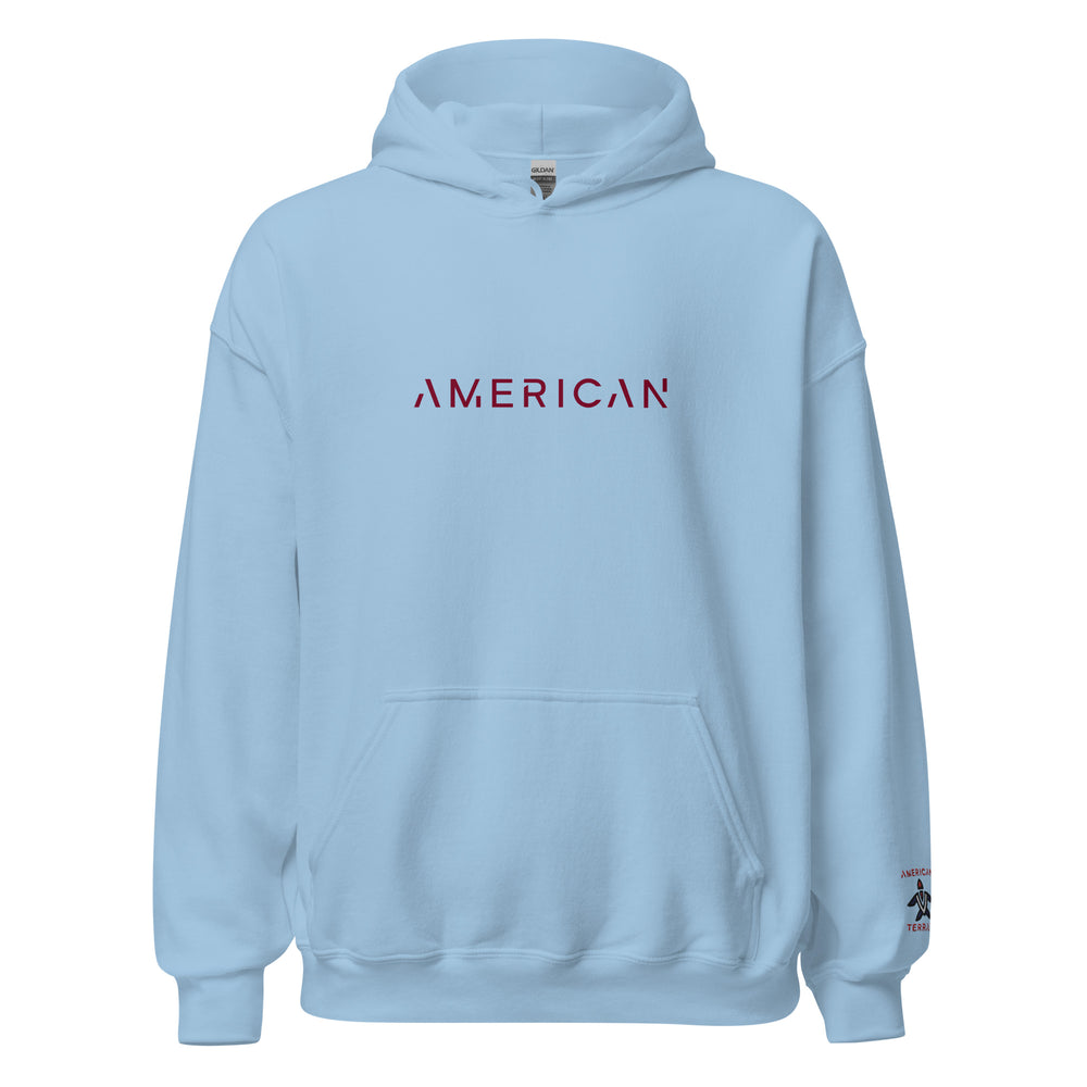 Unisex Hoodie Enlightened American