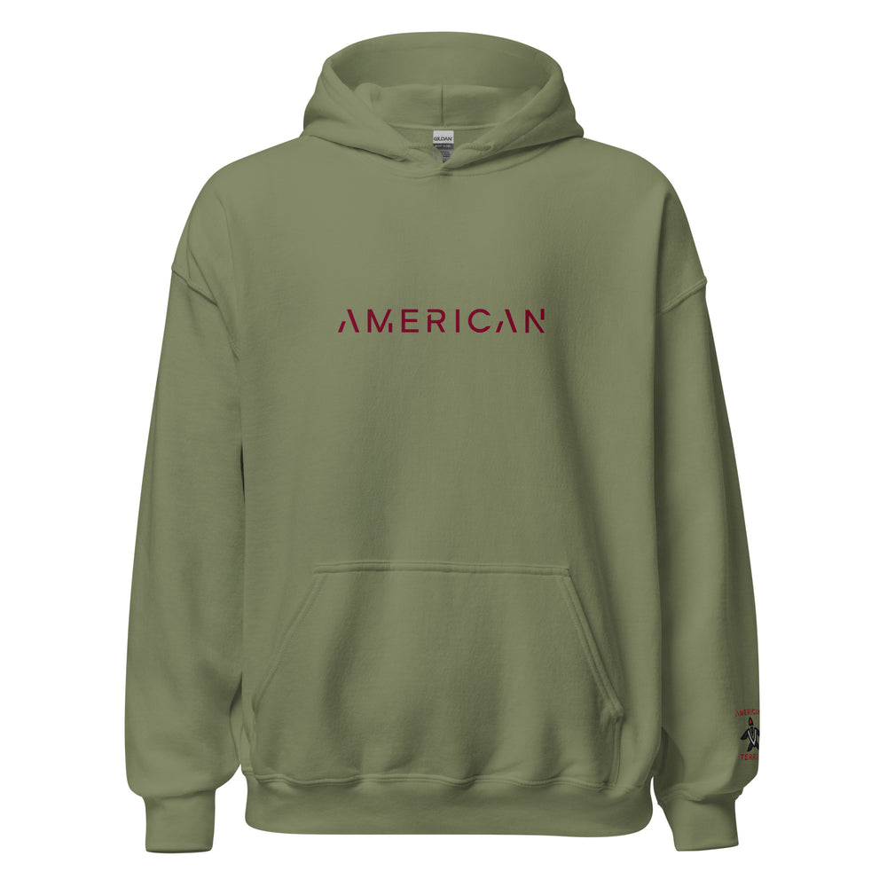 Unisex Hoodie Enlightened American