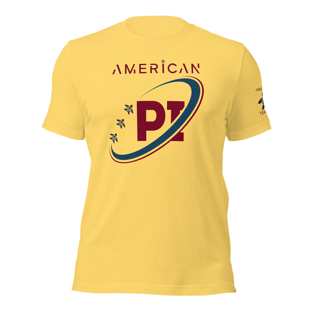 Men's Tee American PI